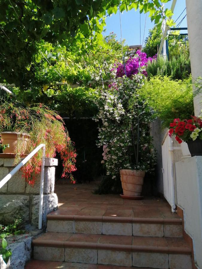 Apartments Jelen Dubrovnik Exterior foto
